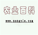 迷你字的宣傳展示效果